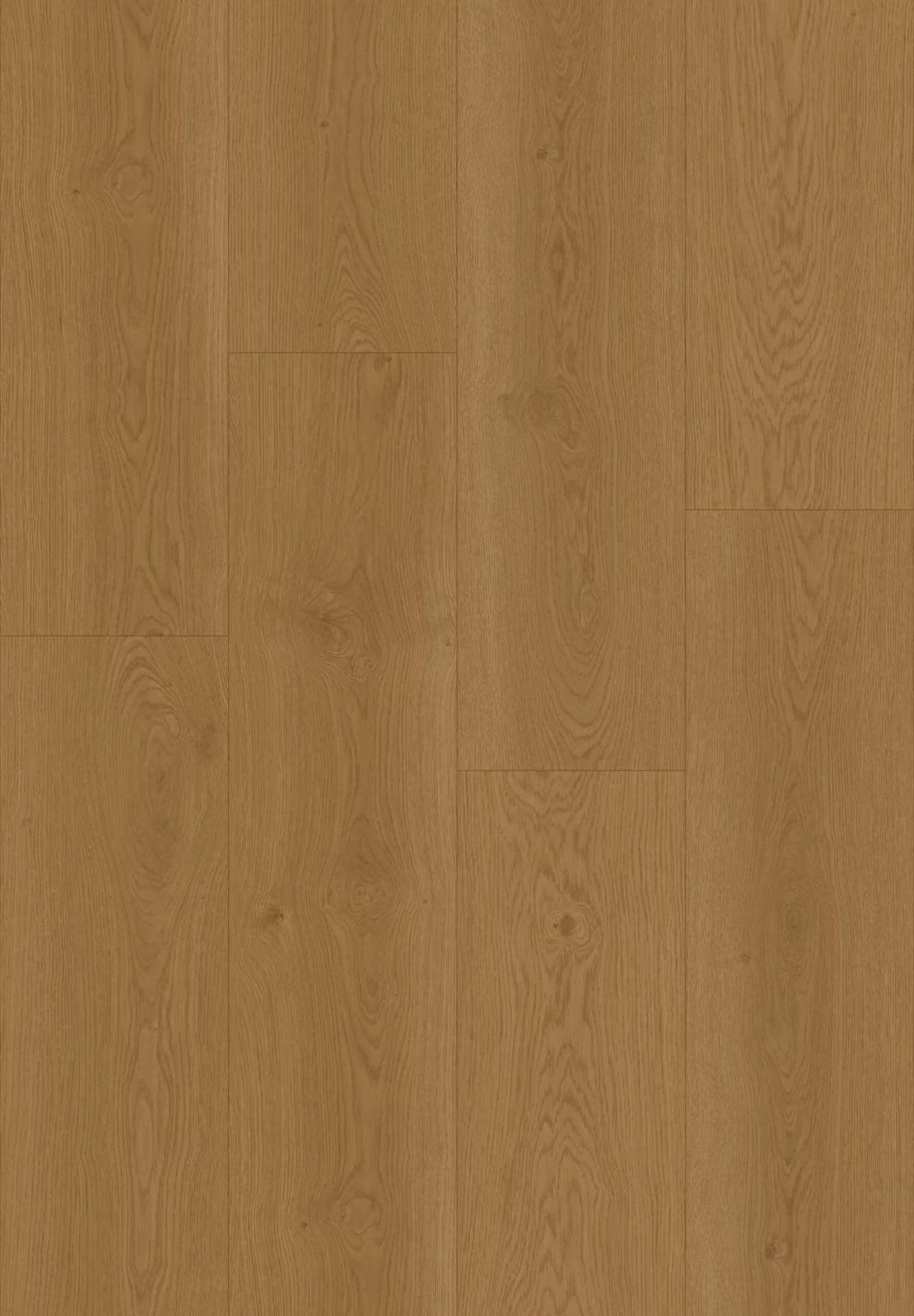 Hoomline Plank Lepelaar 51317 Plank Dryback