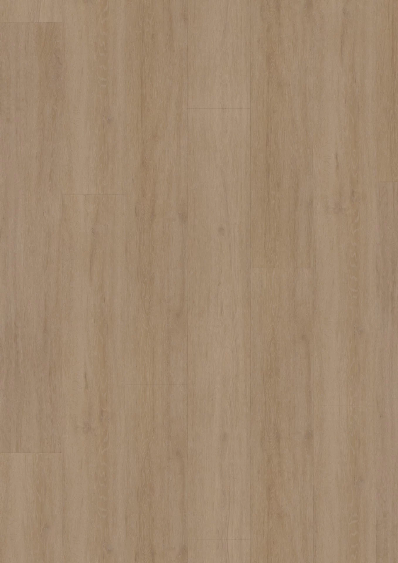Hoomline Superior XL Gotham Oak Flax Plank XL Dryback