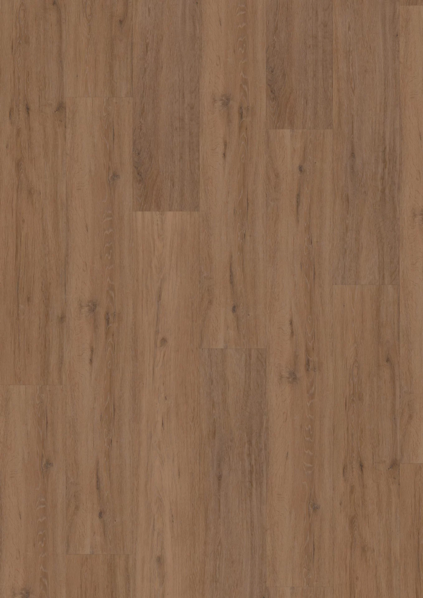 Hoomline Superior XL Gotham Oak Honey Plank XL Dryback