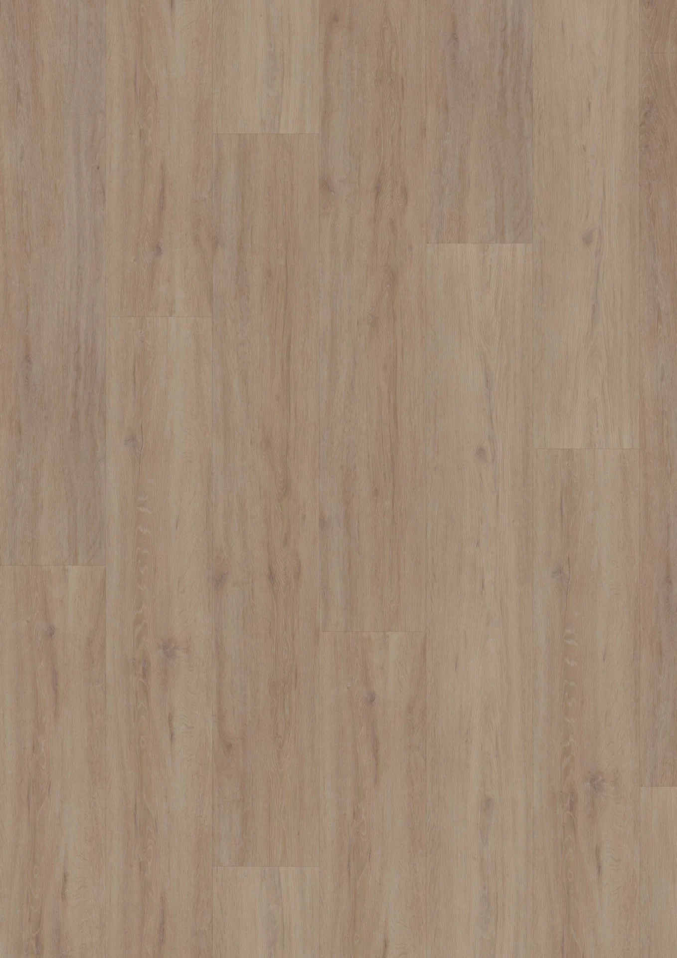 Hoomline Superior XL Gotham Oak Oiled Plank XL Dryback