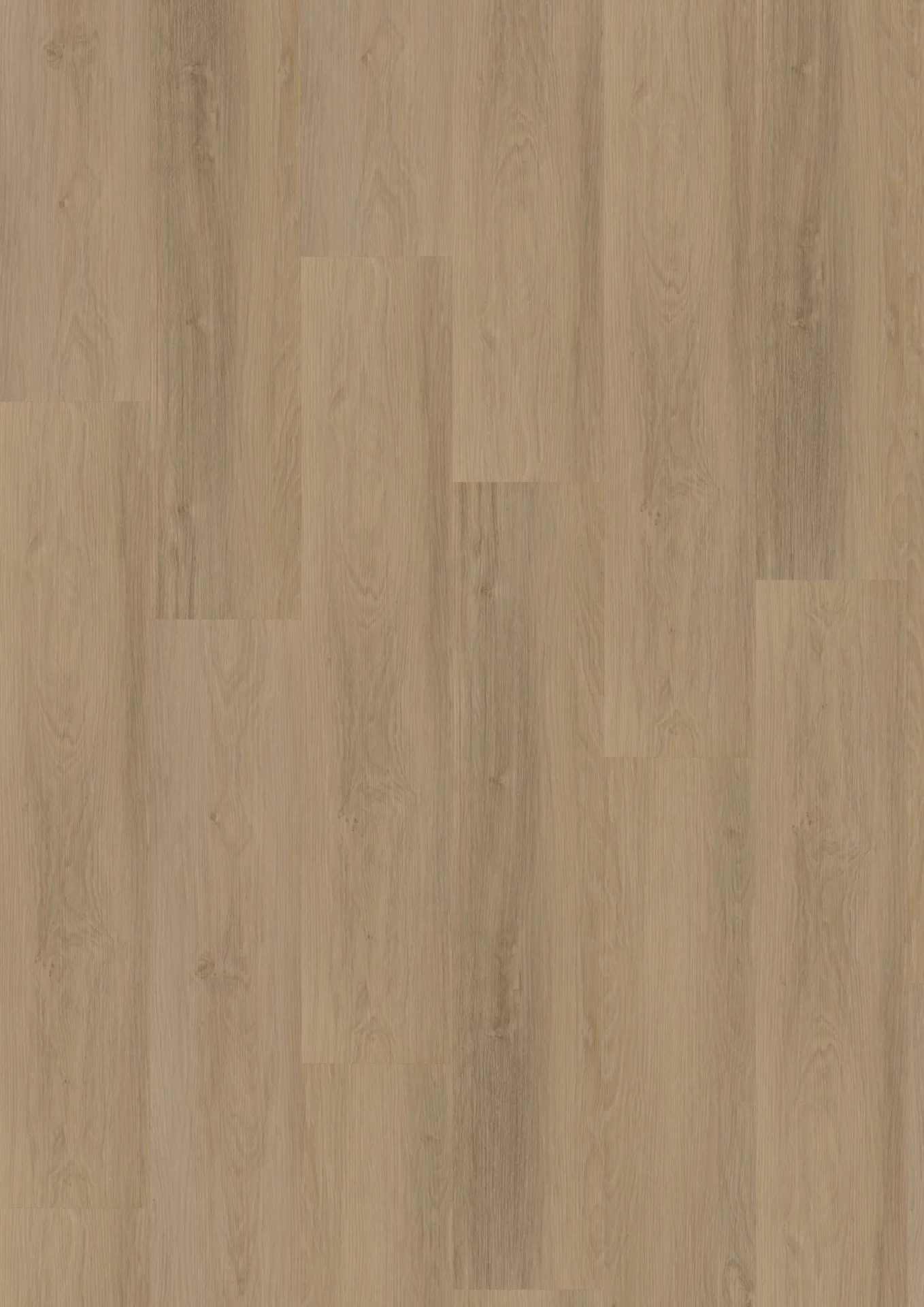 Hoomline Tulp 20017 Plank Dryback