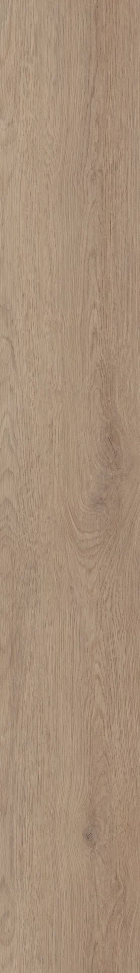 Invictus Cashmere Oak Beach Plank XL Click