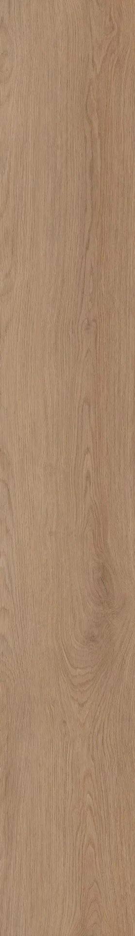 Invictus Cashmere Oak Sunny Plank XL Click