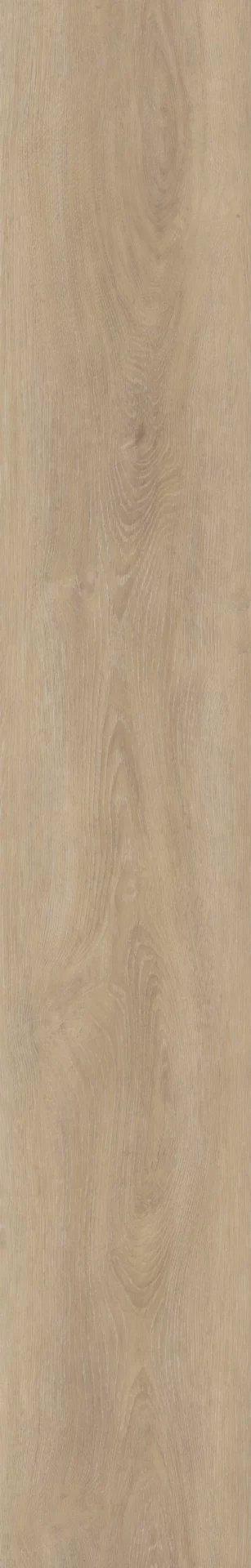 Invictus Divine Oak Herringbone Champagne Visgraat Dryback