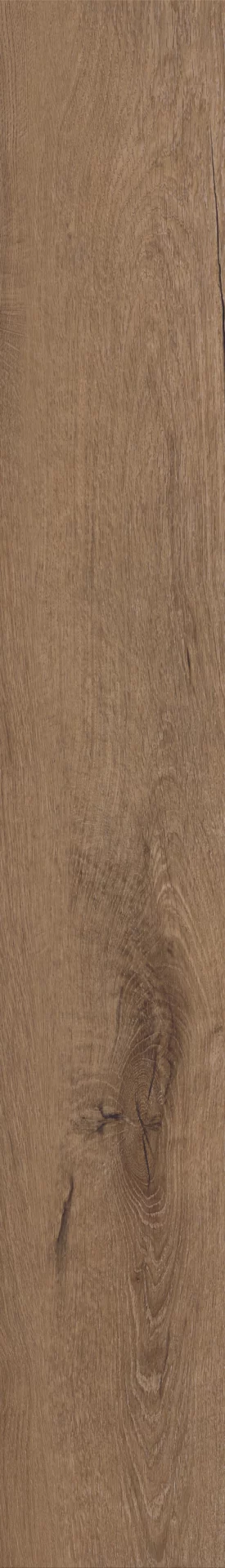 Invictus Royal Oak Mocca Plank Dryback