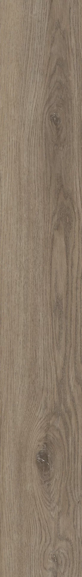 Invictus Sherwood Oak Mink Plank Click