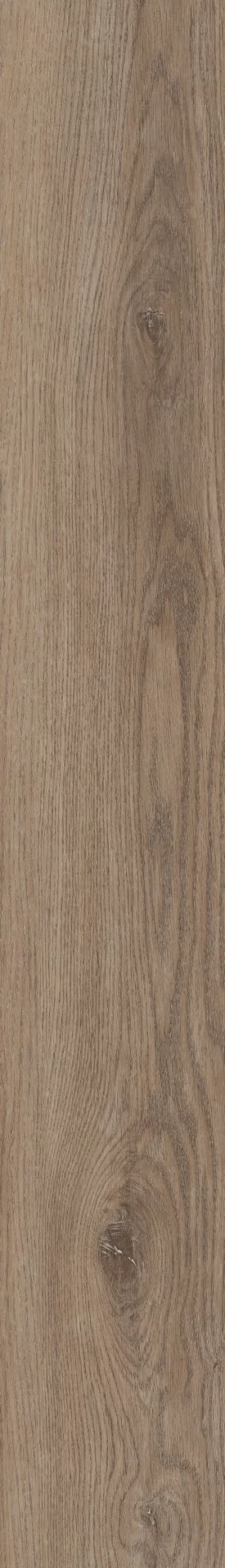 Invictus Sherwood Oak Mink Plank Dryback