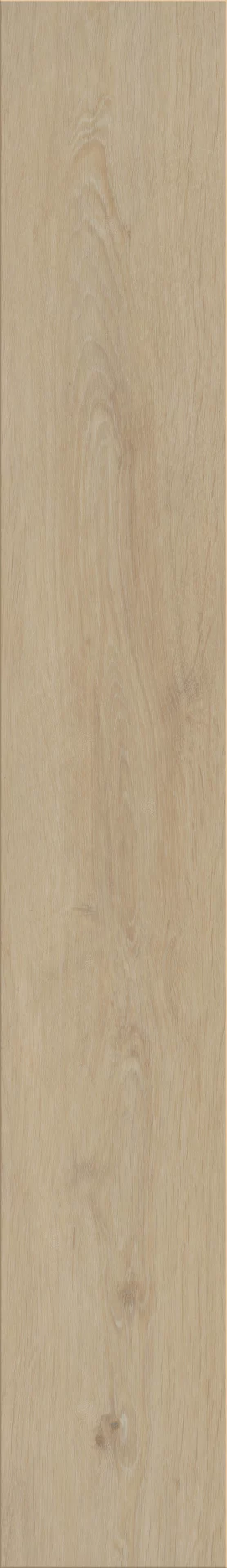 Invictus Silk Oak Latte Plank XL Dryback
