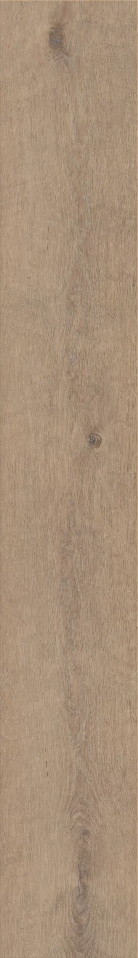 Invictus Silk Oak Oat Plank XL Dryback