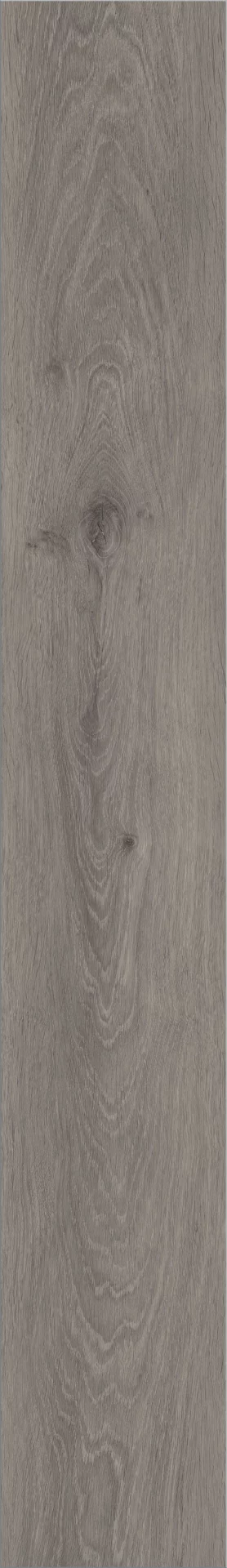 Invictus Silk Oak Shade Plank XL Click