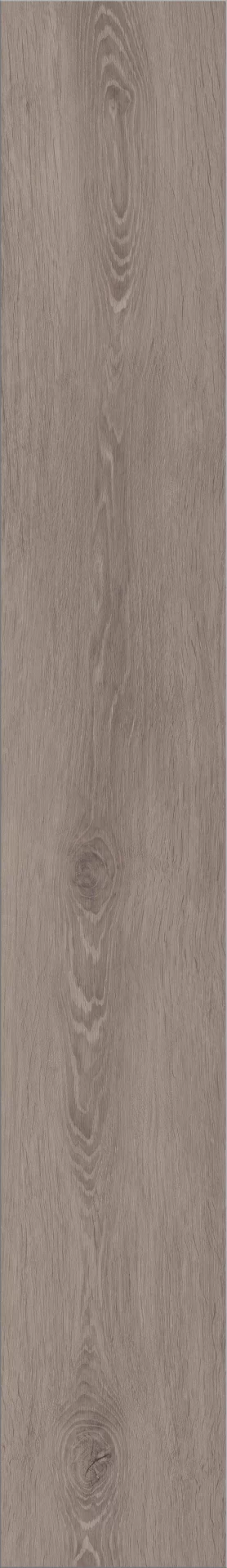 Invictus Silk Oak Shade Plank XL Dryback