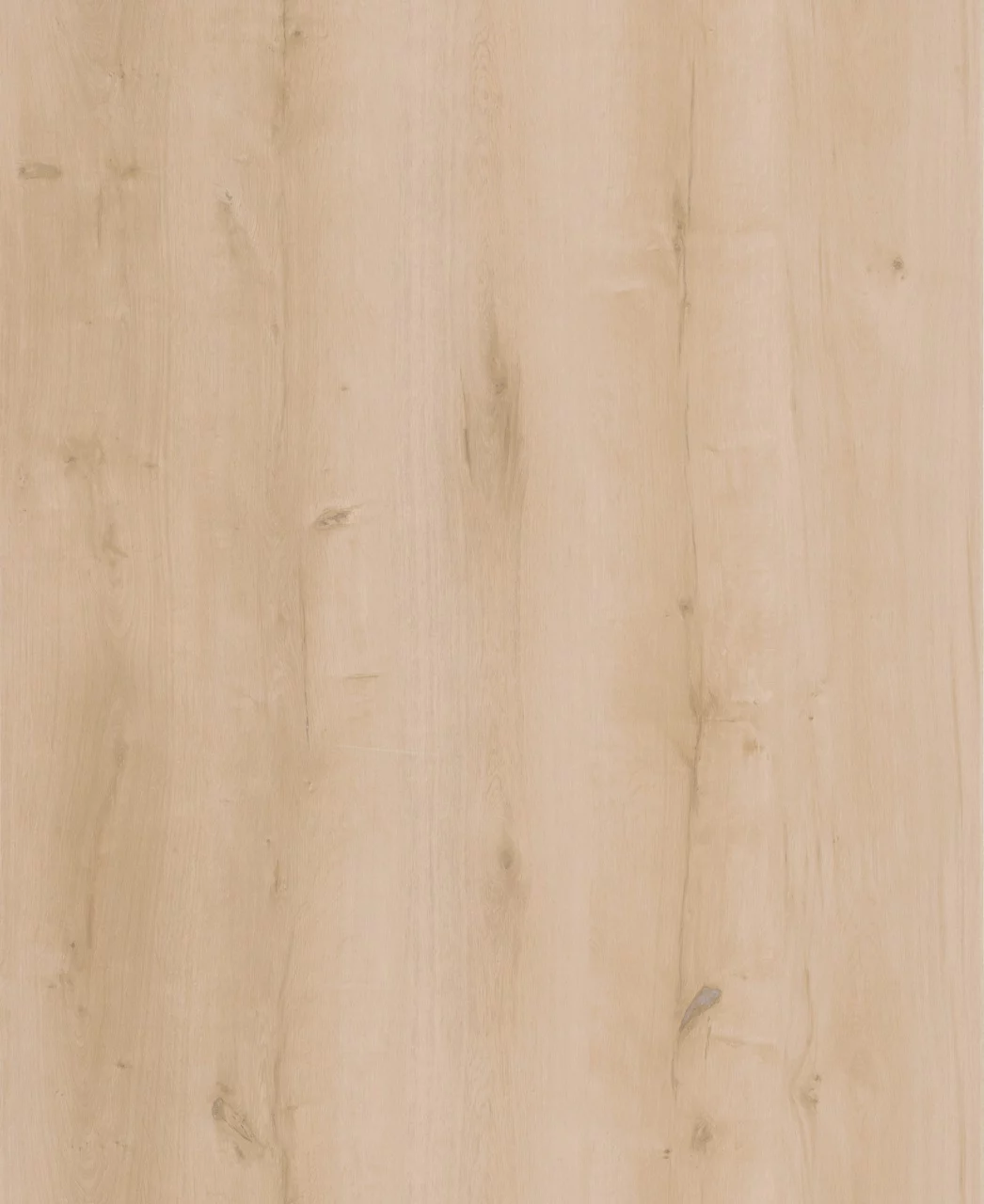 Lifestyle Interior Walk On Me 20609 Plank XL Click