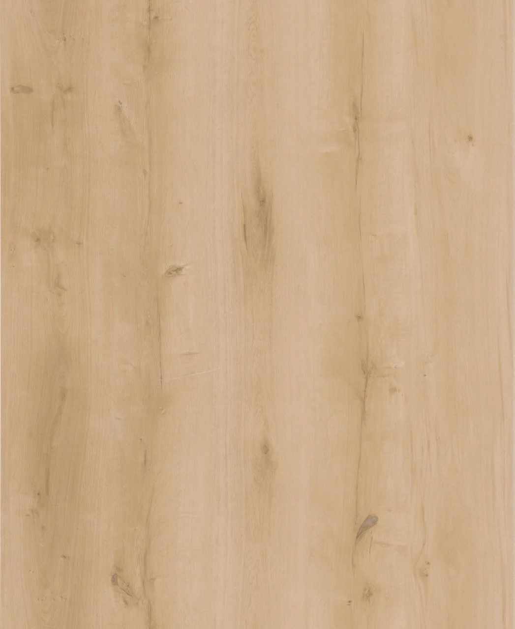Lifestyle Interior Walk On Me 20610 Plank XL Click