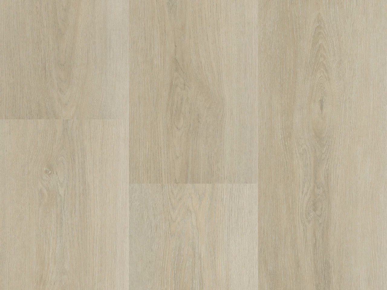 Montinique Charente 5446 Plank XL Dryback
