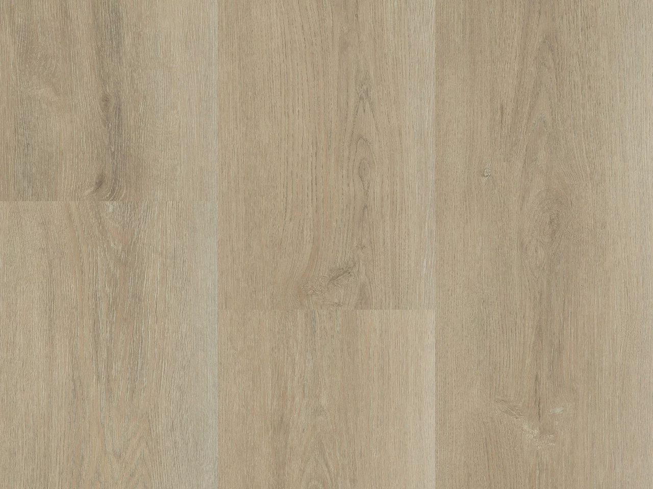 Montinique Charente 5447 Plank XL Dryback