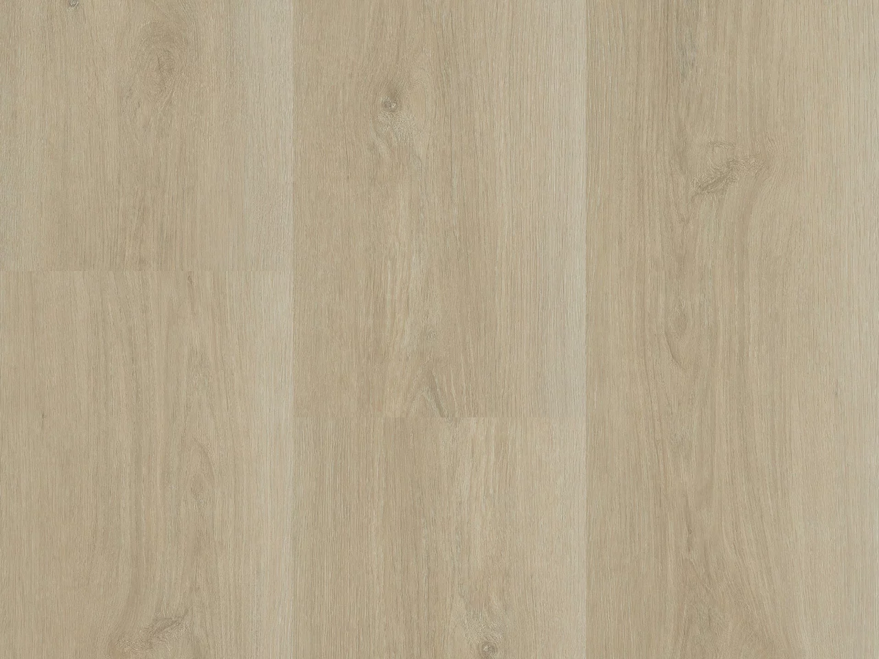 Montinique Charente 5460 Plank XL Dryback
