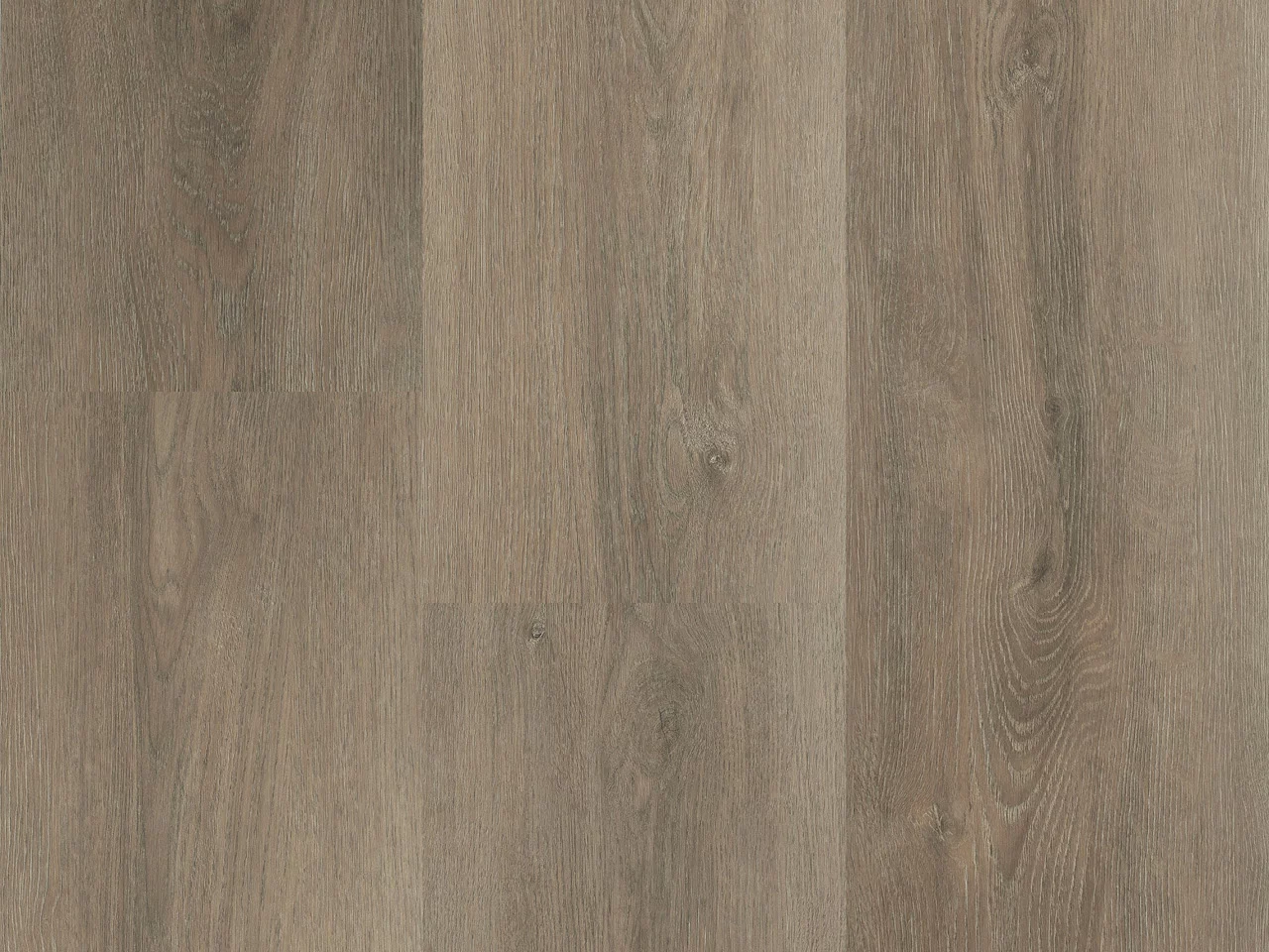 Montinique Charente 5561 Plank XL Click