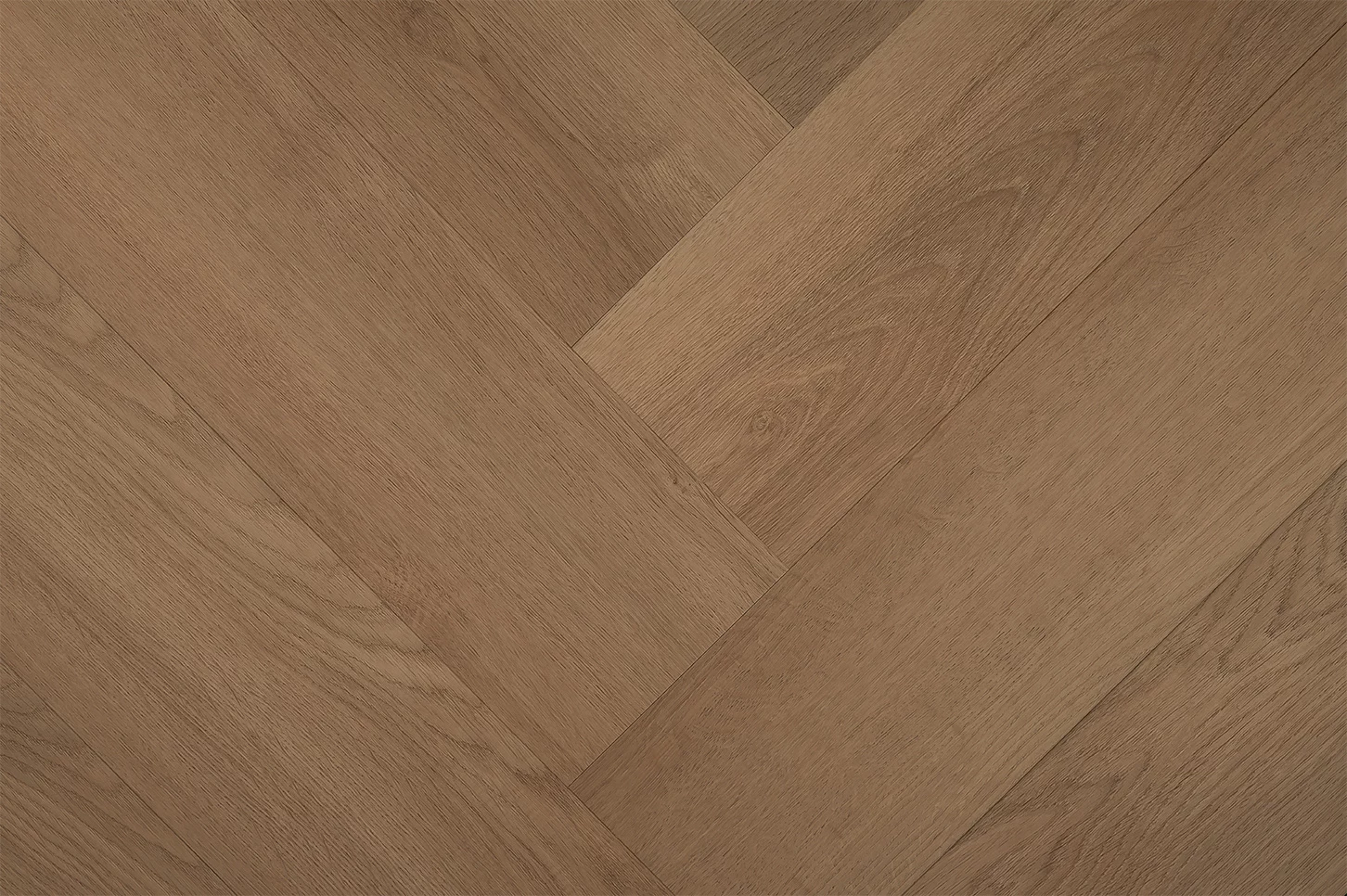 Montinique Clermont 57826 Visgraat Dryback