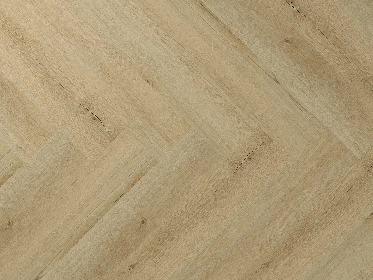 Montinique Clermont 77821 Visgraat Dryback