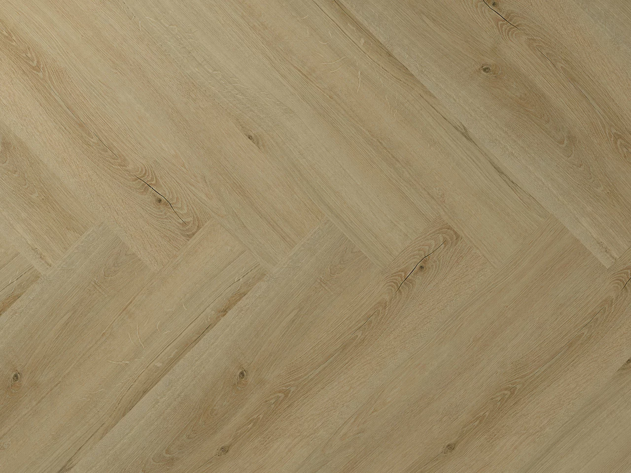Montinique Clermont 77822 Visgraat Dryback