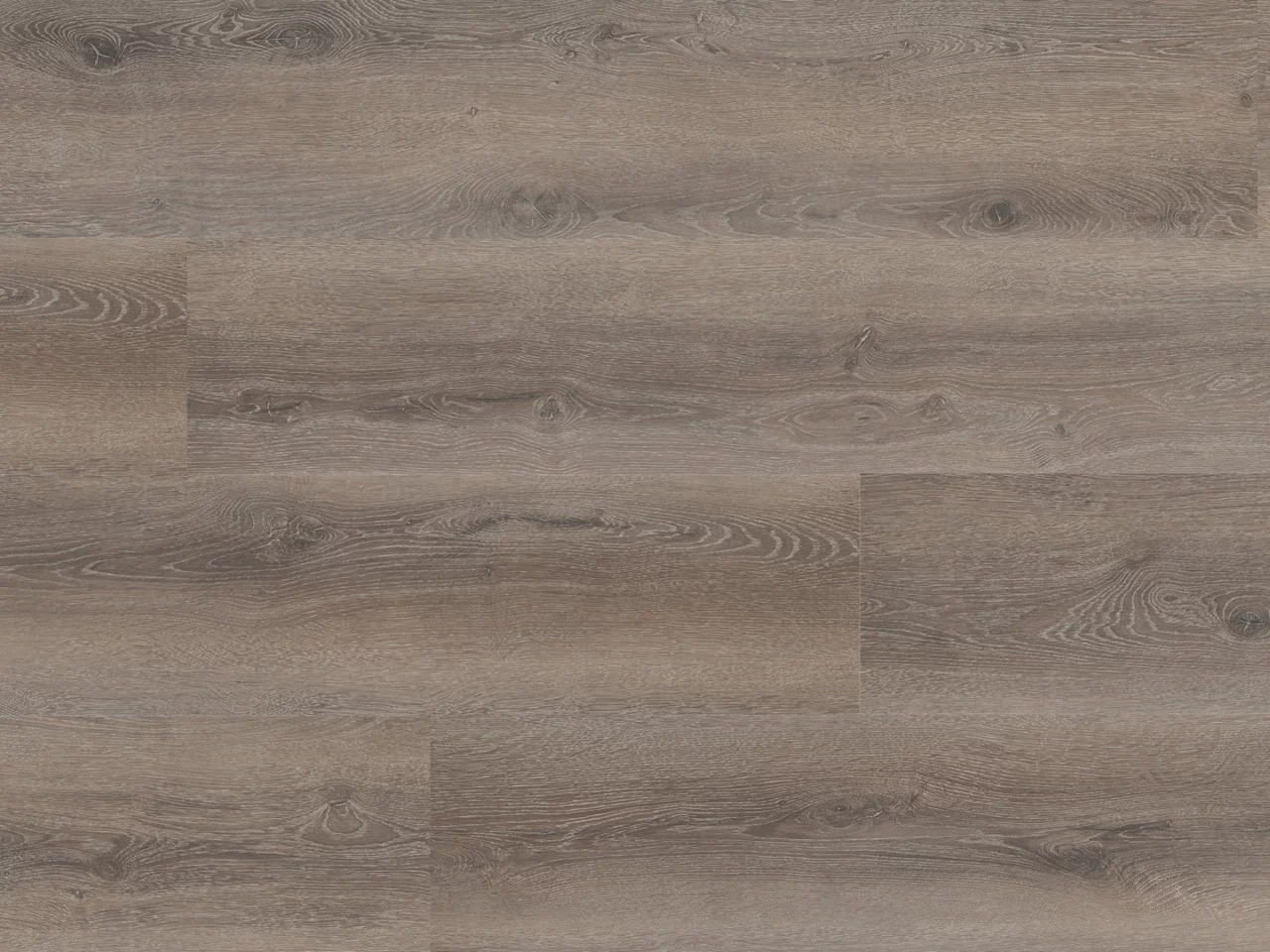 Montinique Progress 54818 Plank XL Dryback