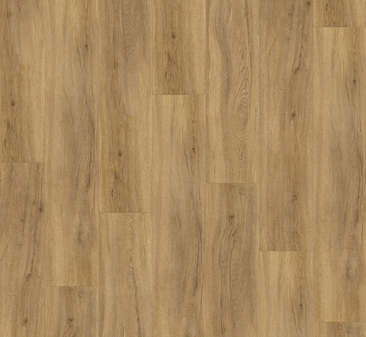 Parador Vinyl Basic 5.3 Eiken Sierra natuur Plank Click