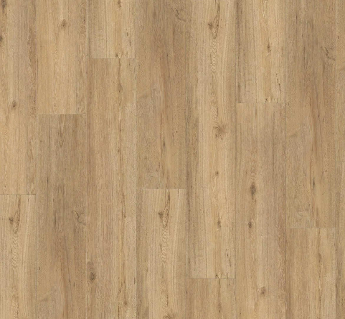 Parador Vinyl Basic 5.3 Eiken natuur Plank Click