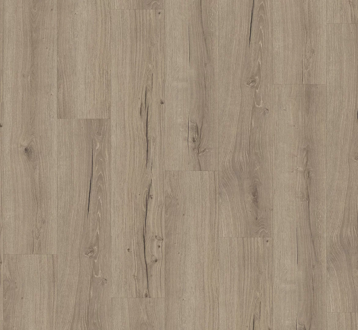 Parador Vinyl Classic 2025 Eiken Cambridge taupe Plank Dryback