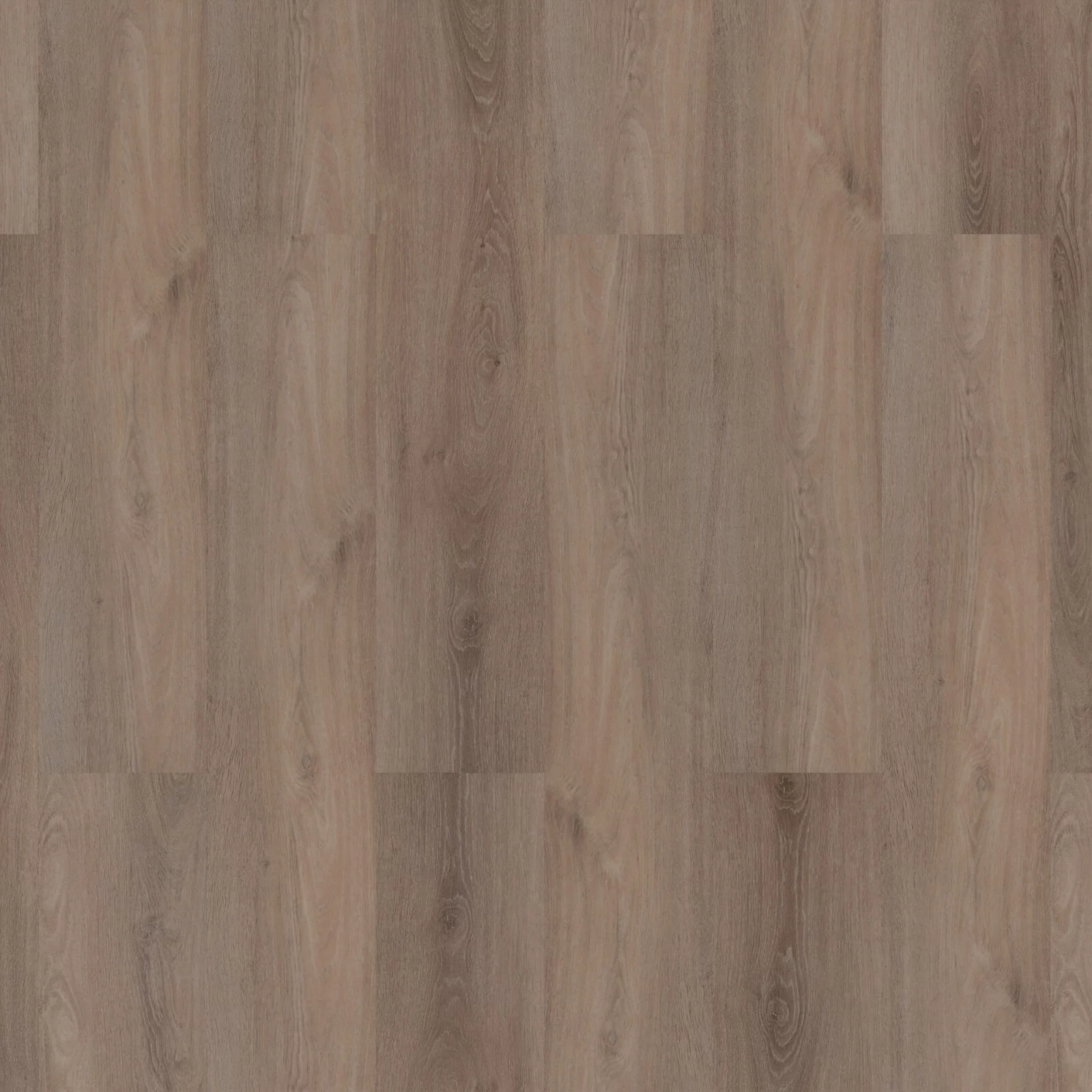 Room 5 Ambassador Oak Plank XL Dryback