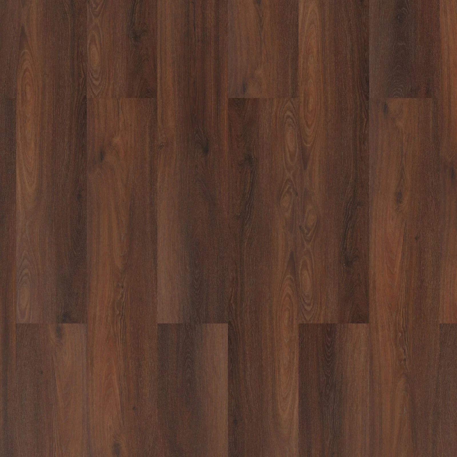 Room 5 Executive Gold Plank XL Dryback