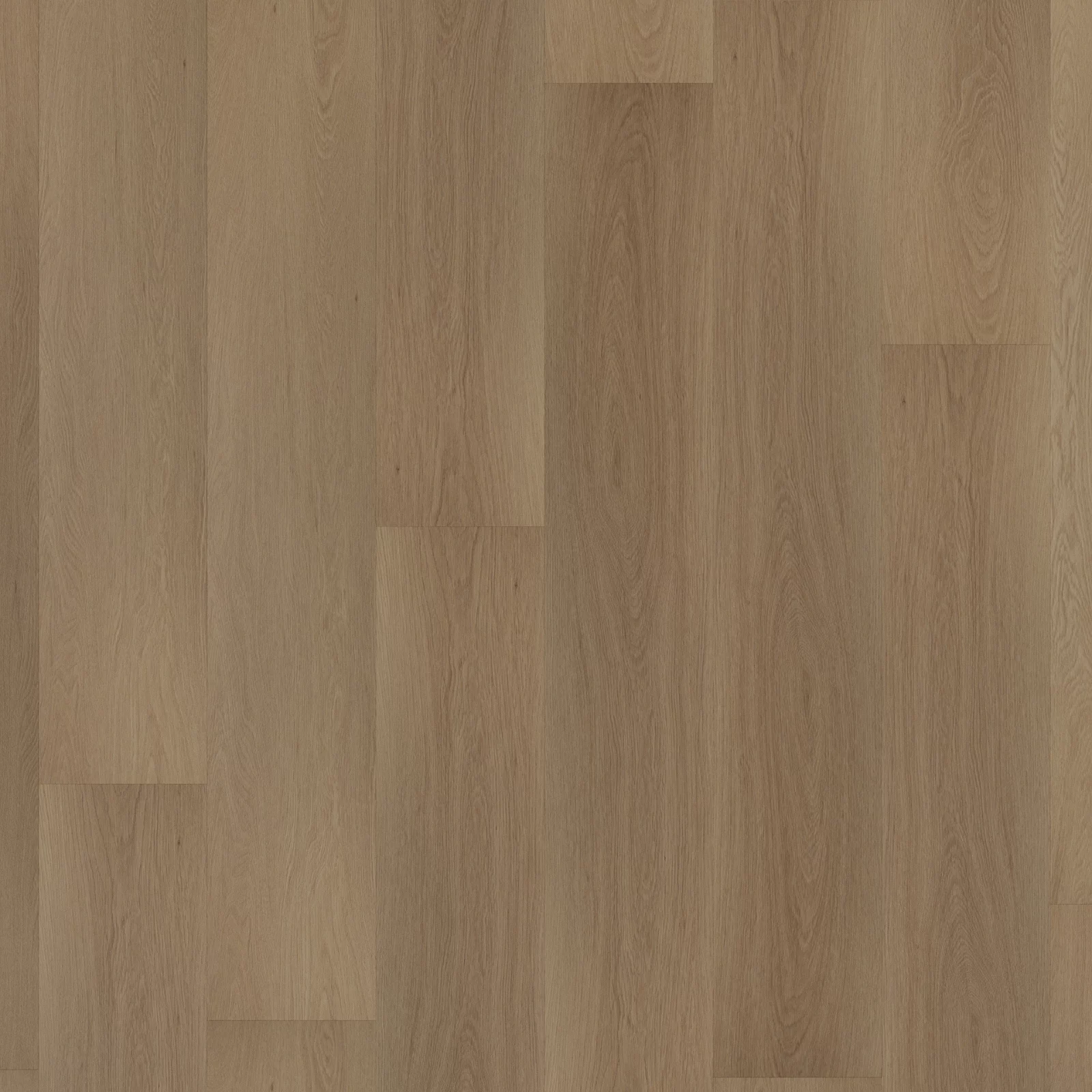 Room 5 Regency Wood Plank XL Dryback