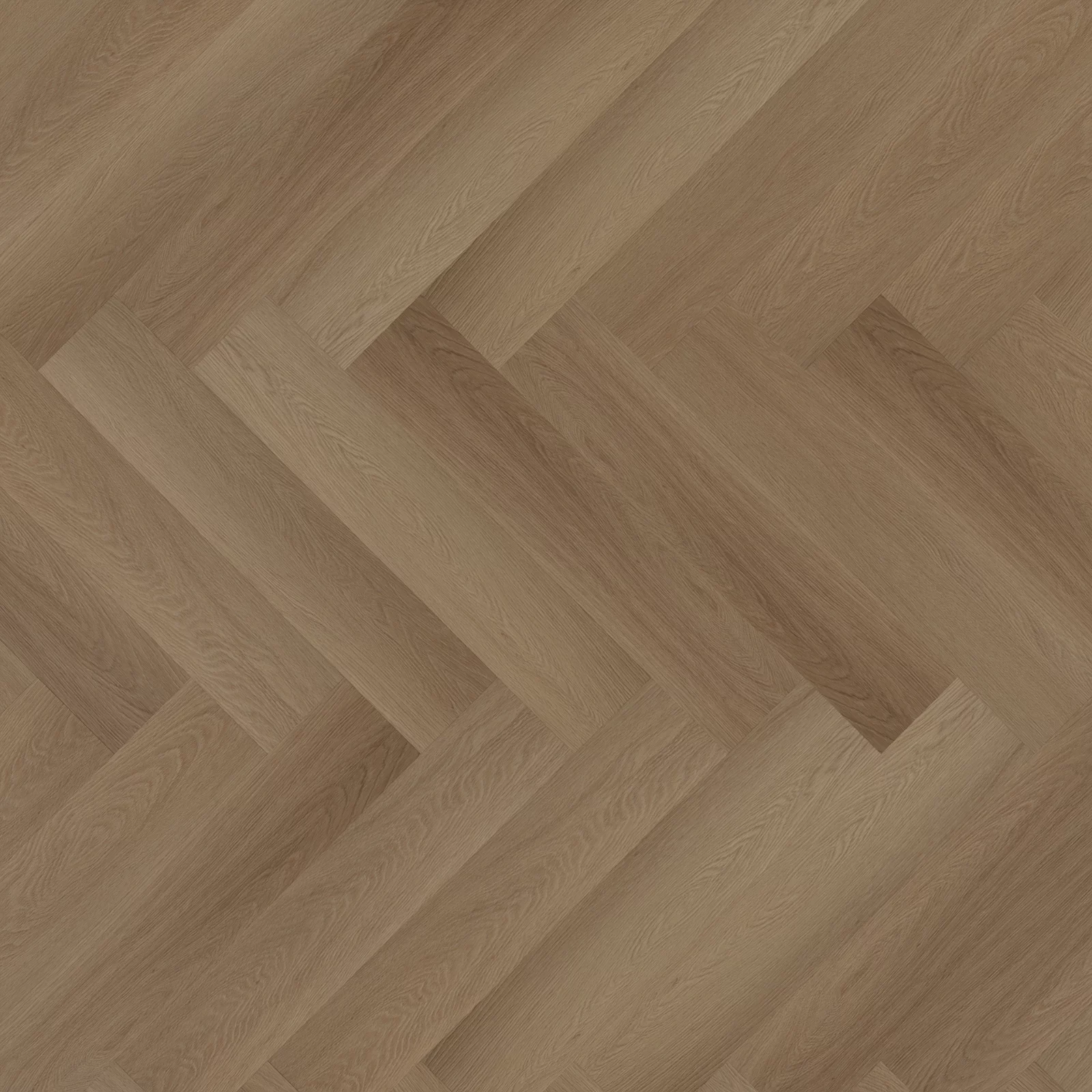 Room 5 Regency Wood Visgraat XL Dryback