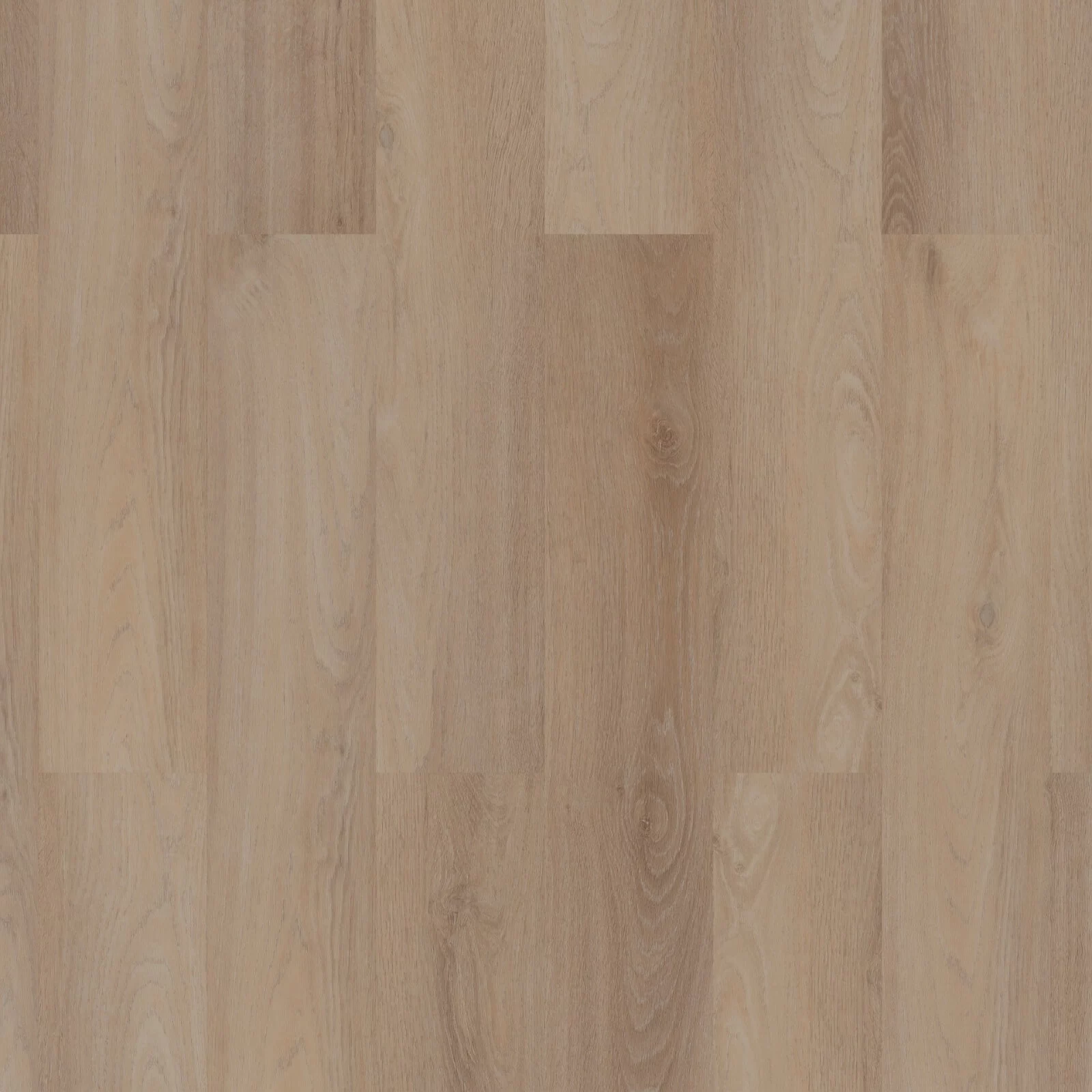 Room 5 Royal Champagne Plank XL Dryback