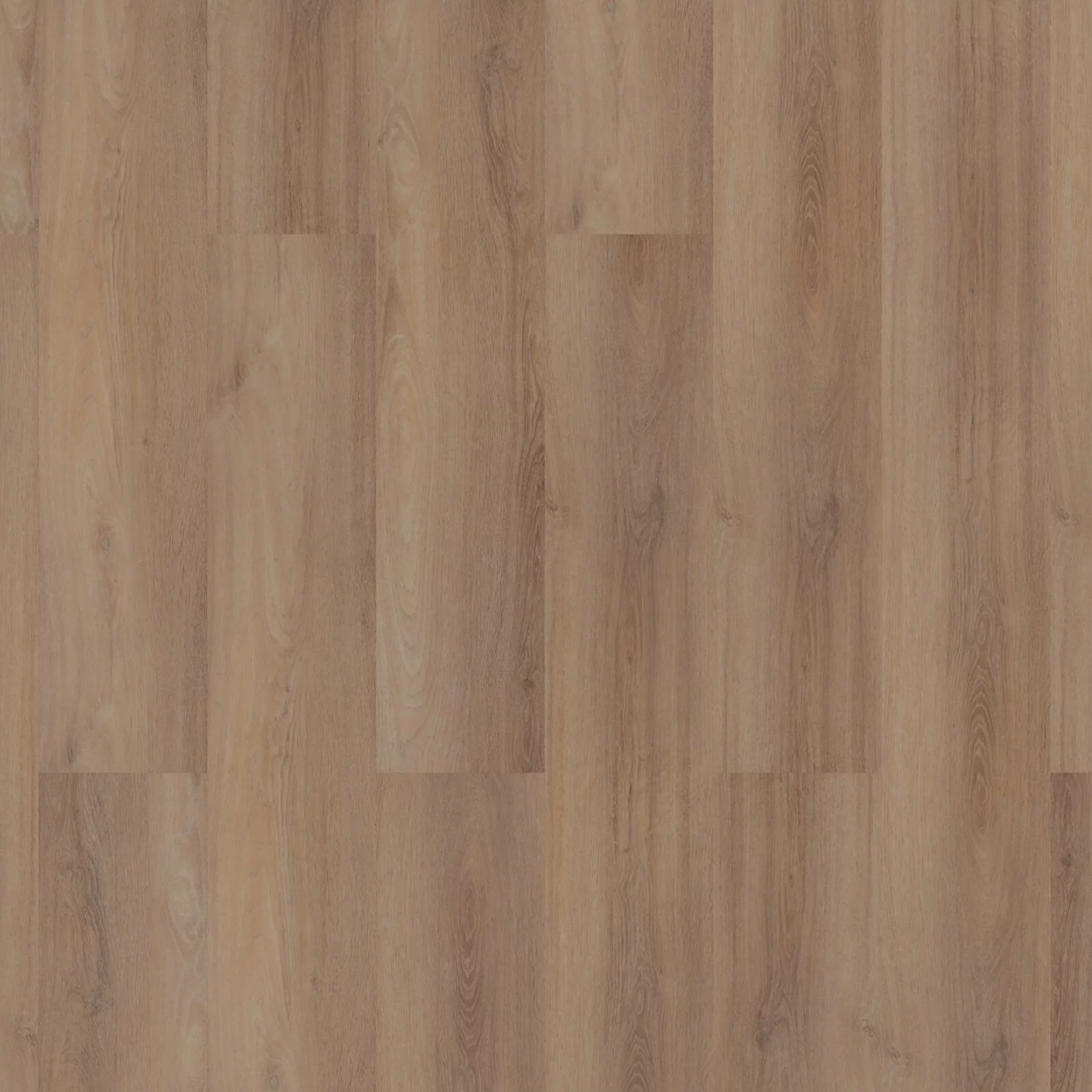 Room 5 Superior Beige Plank XL Dryback
