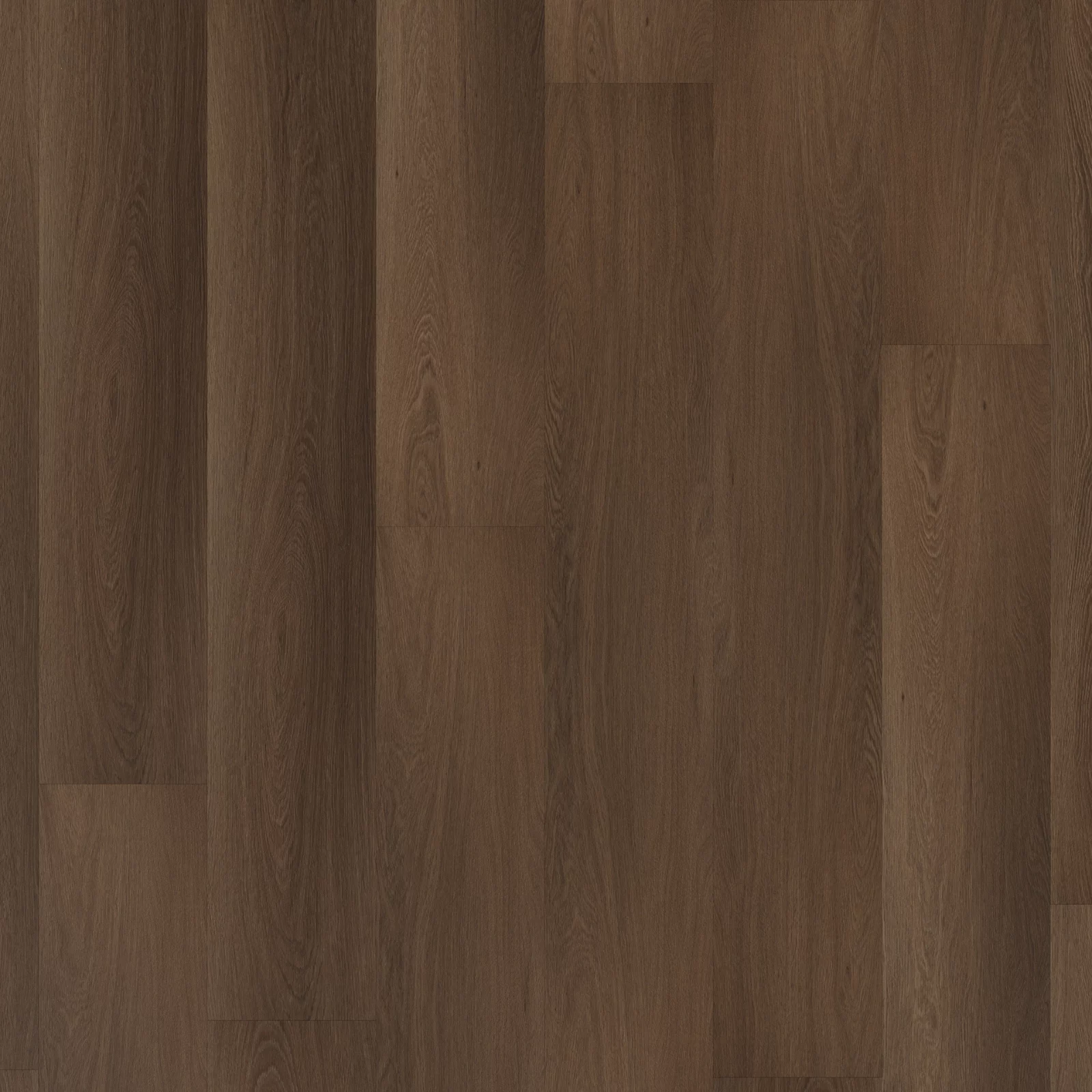 Room 5 The Grand Walnut Plank XL Dryback