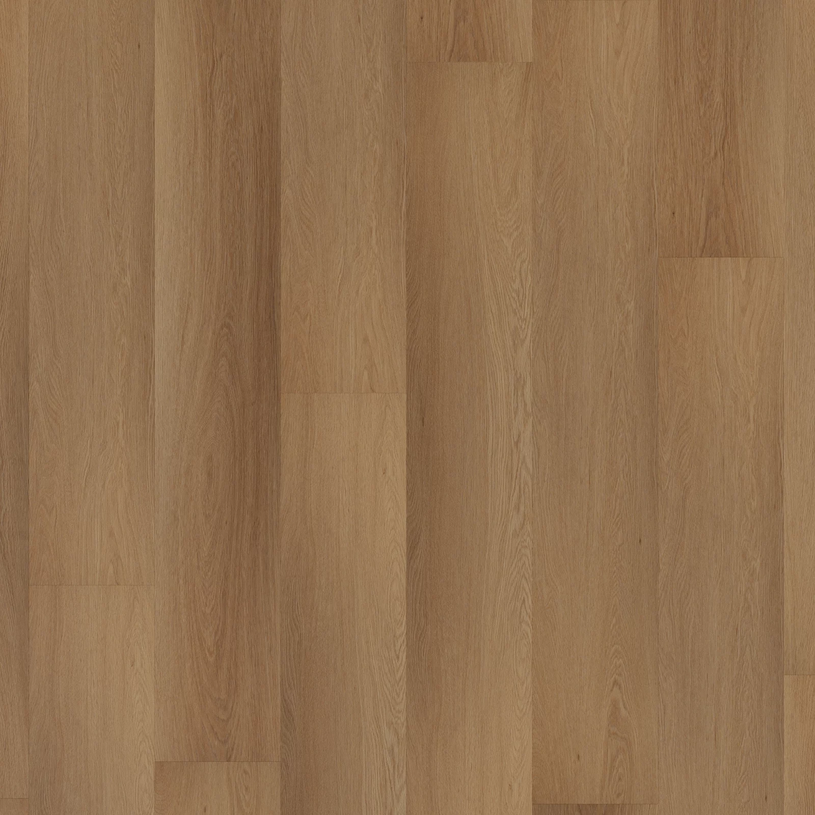 Room 5 Western Hemlock Plank XL Dryback