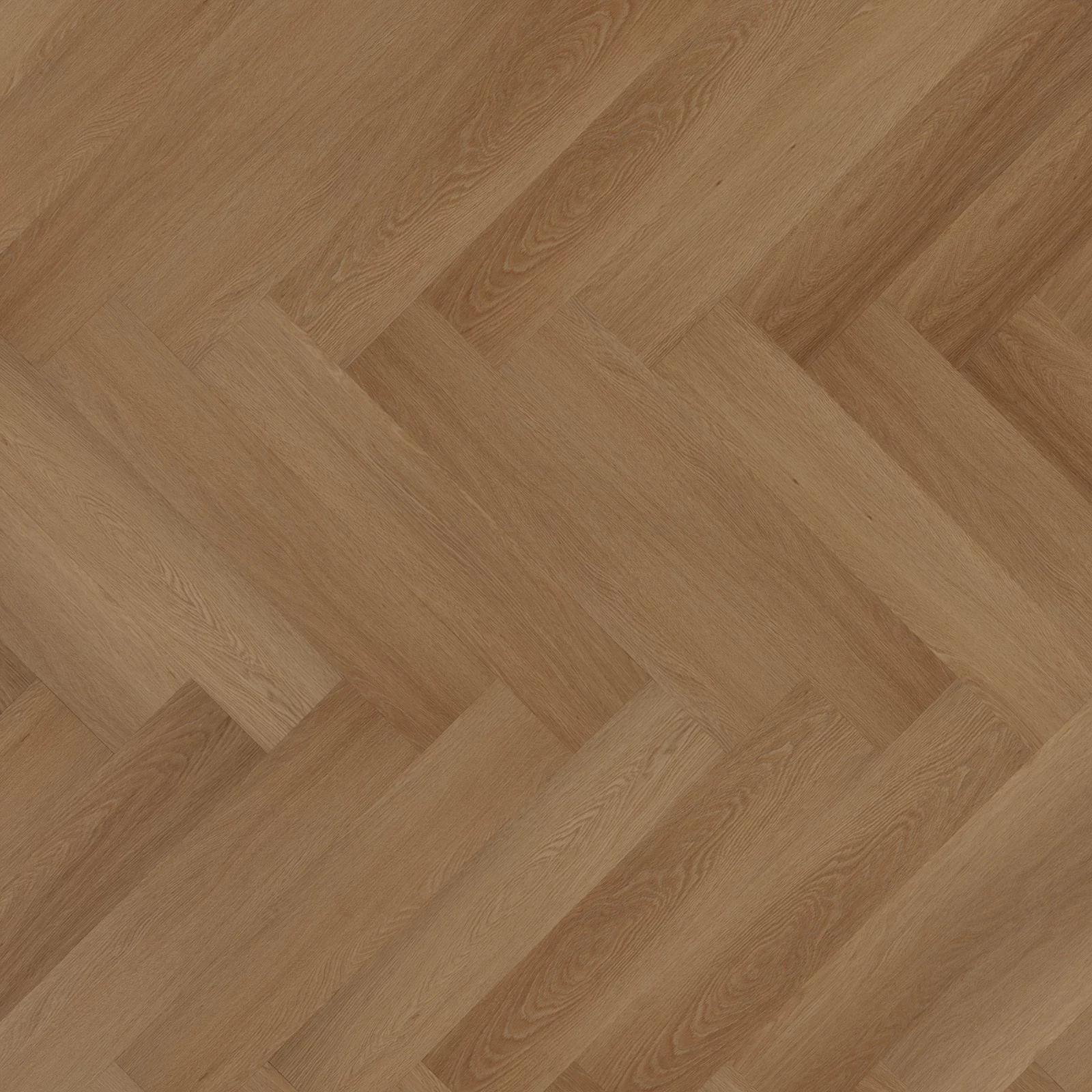 Room 5 Western Hemlock Visgraat XL Dryback