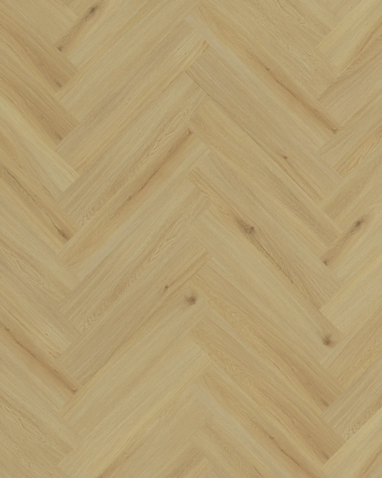 Saffier Avenue Clearwater Oak Visgraat Dryback