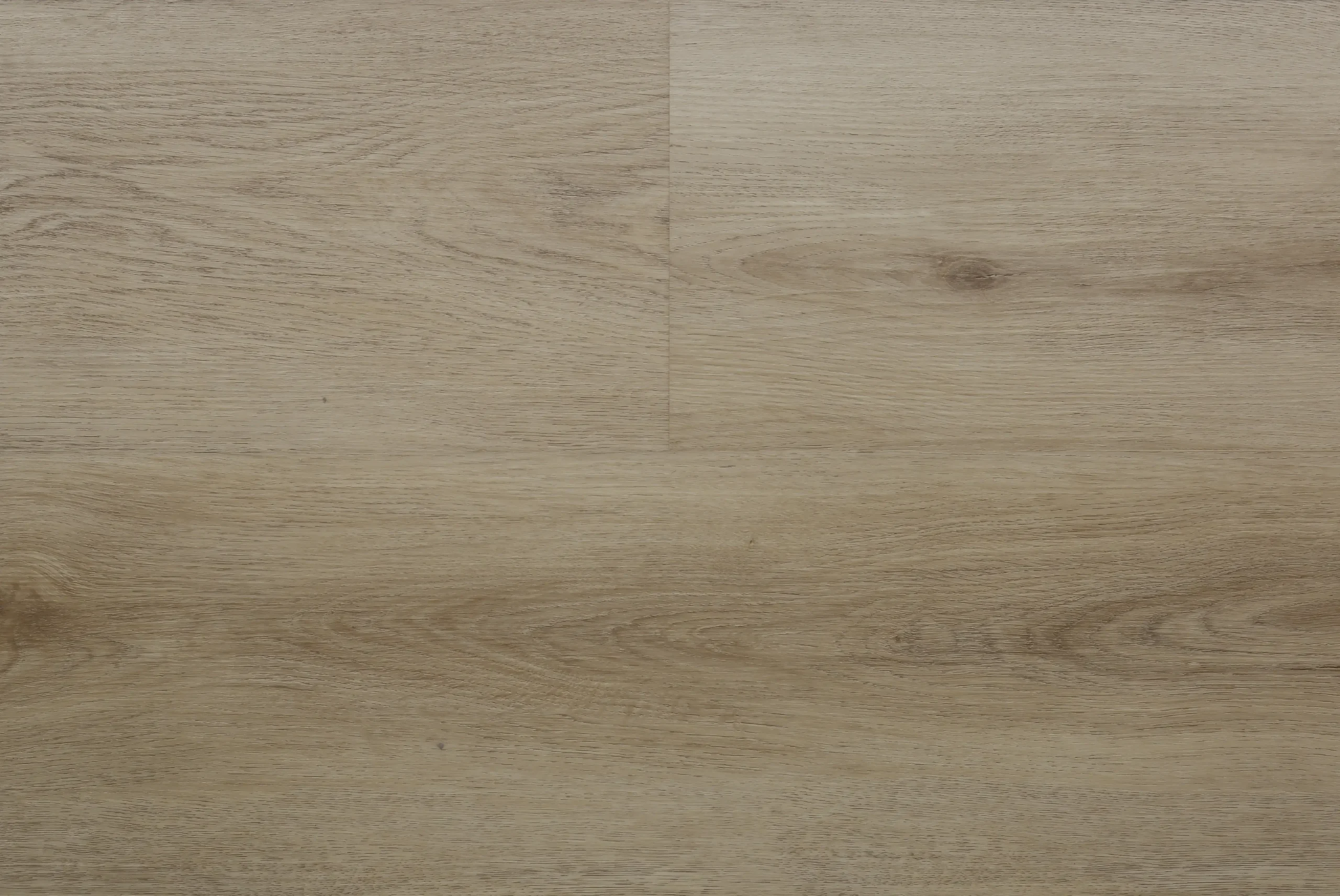Saffier Avenue Tampa Oak Plank XL Dryback