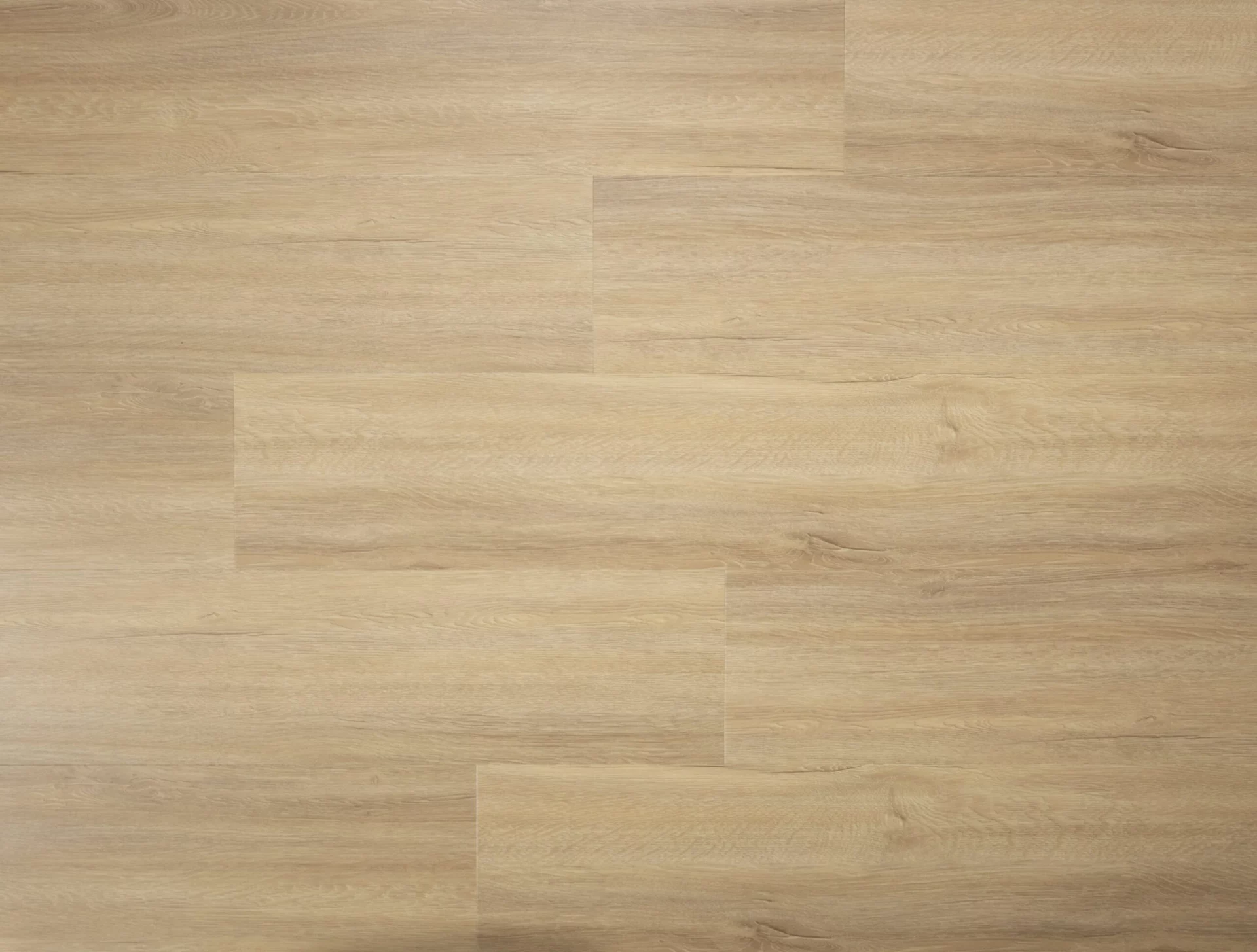 Sense G300 Plank Click