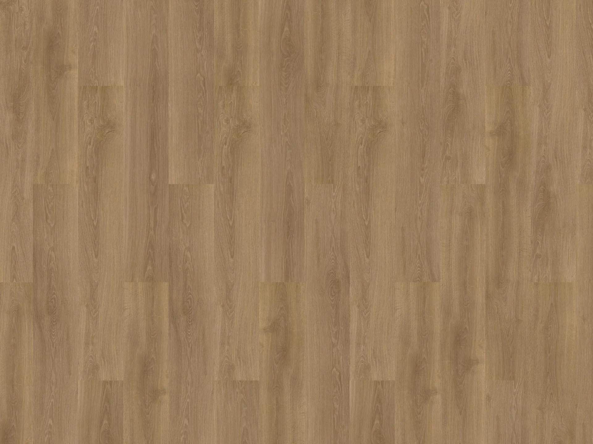 Solcora River Oak Danube 56022 Plank XL Click