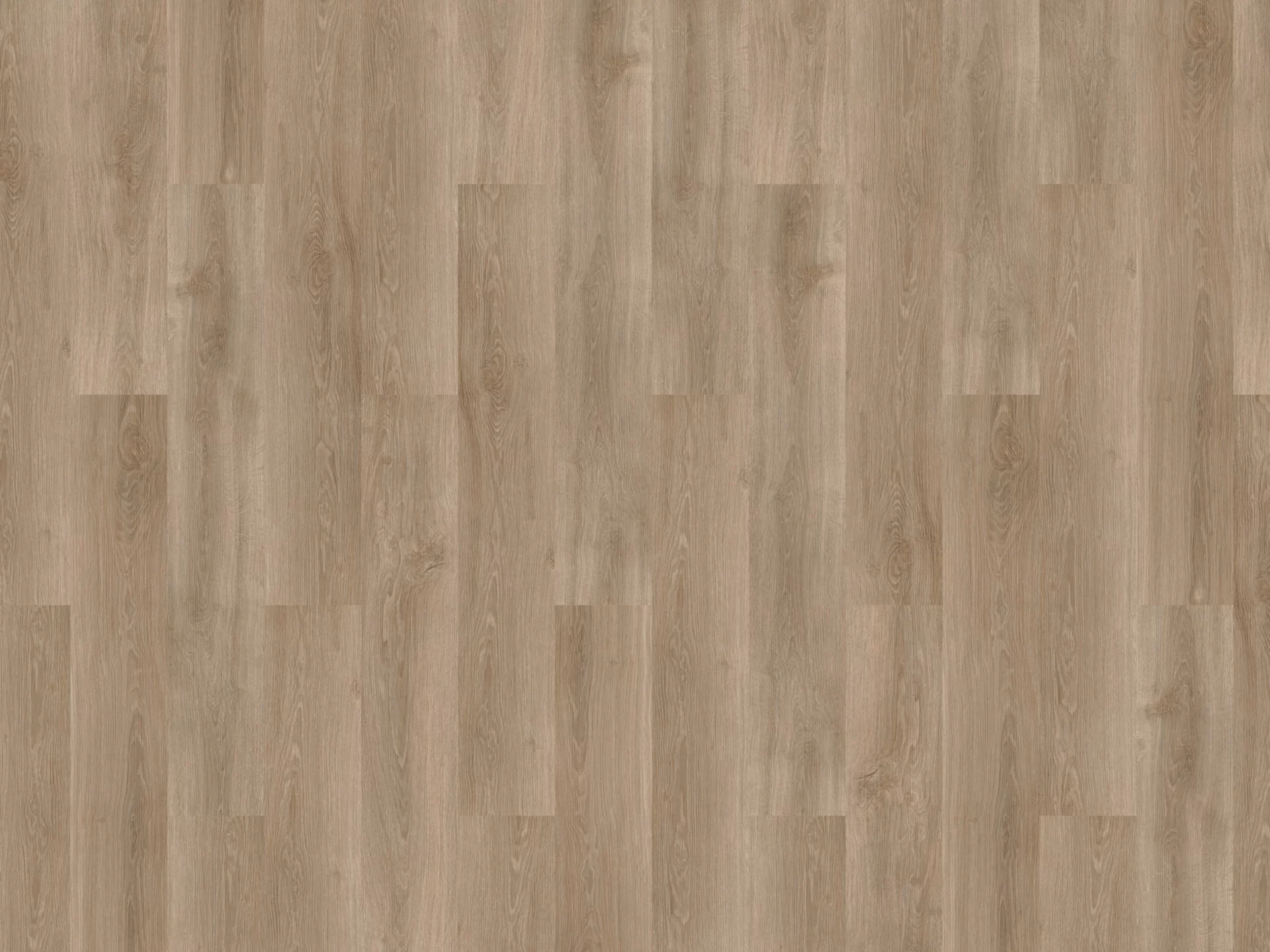 Solcora River Oak Douro 56025 Plank XL Click