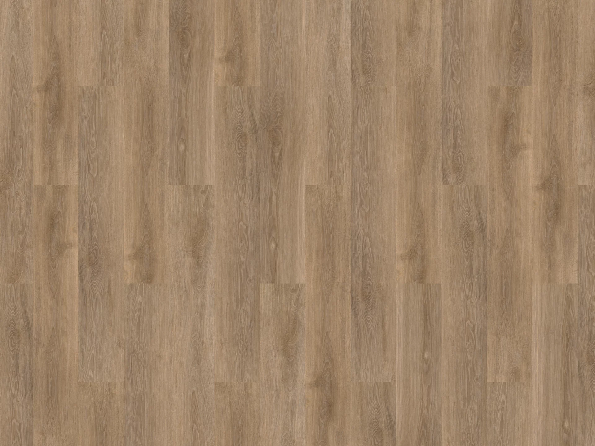 Solcora River Oak Volga 56024 Plank XL Click