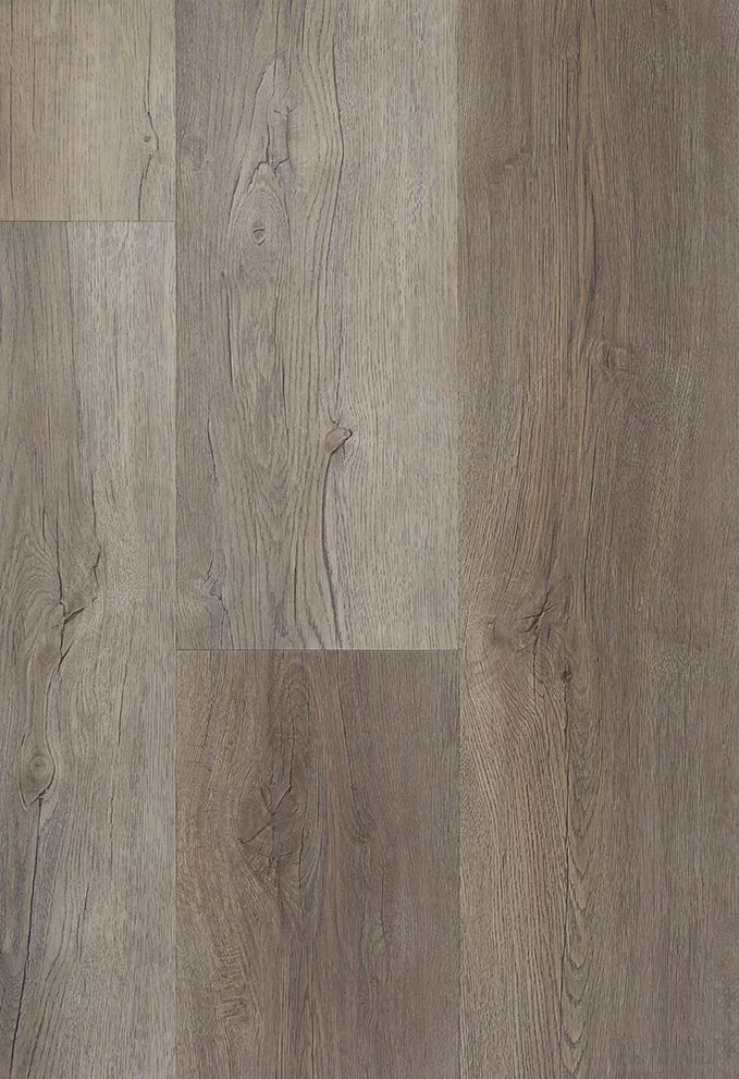 TFD Firm 8 Plank XL Dryback