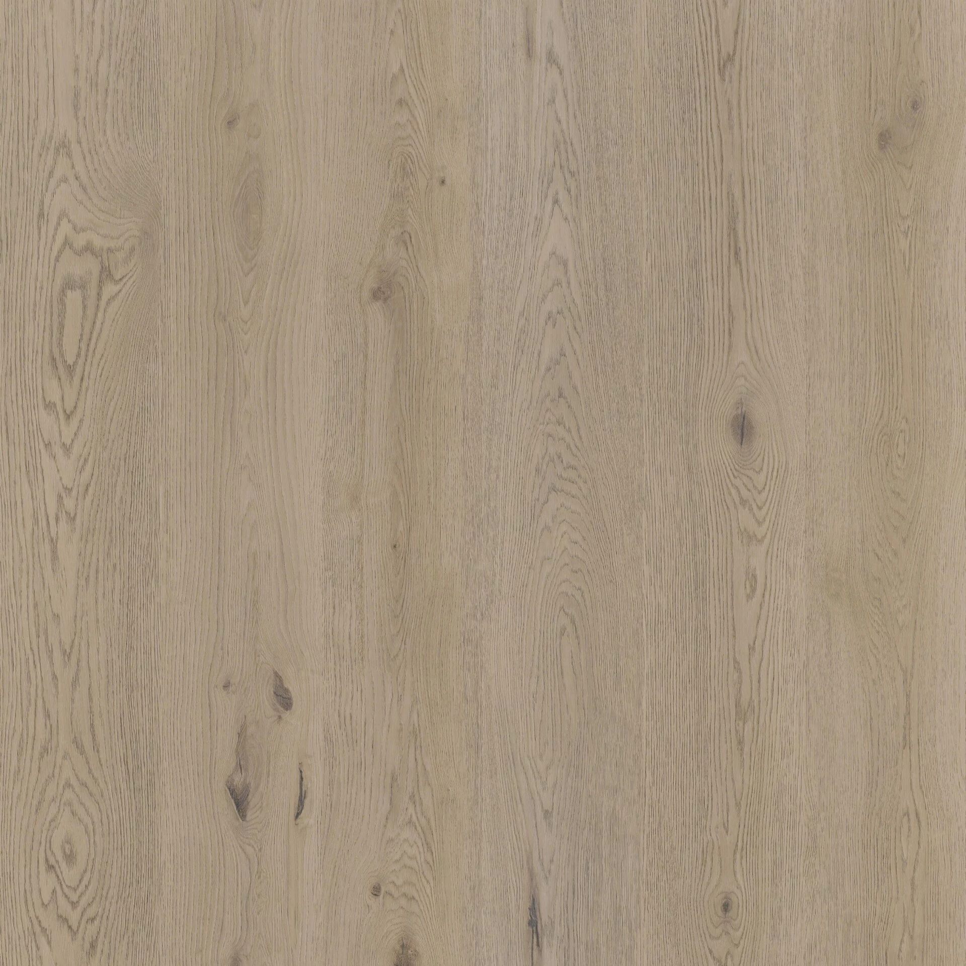 Therdex Authentic 15061 Plank XL Dryback