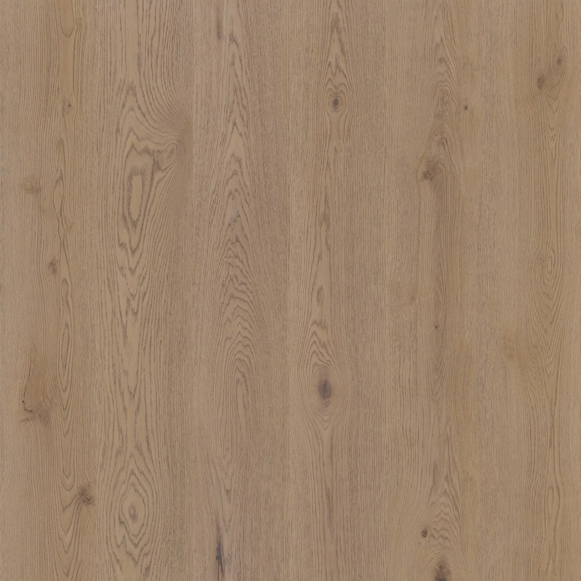 Therdex Authentic 15062 Plank XL Dryback