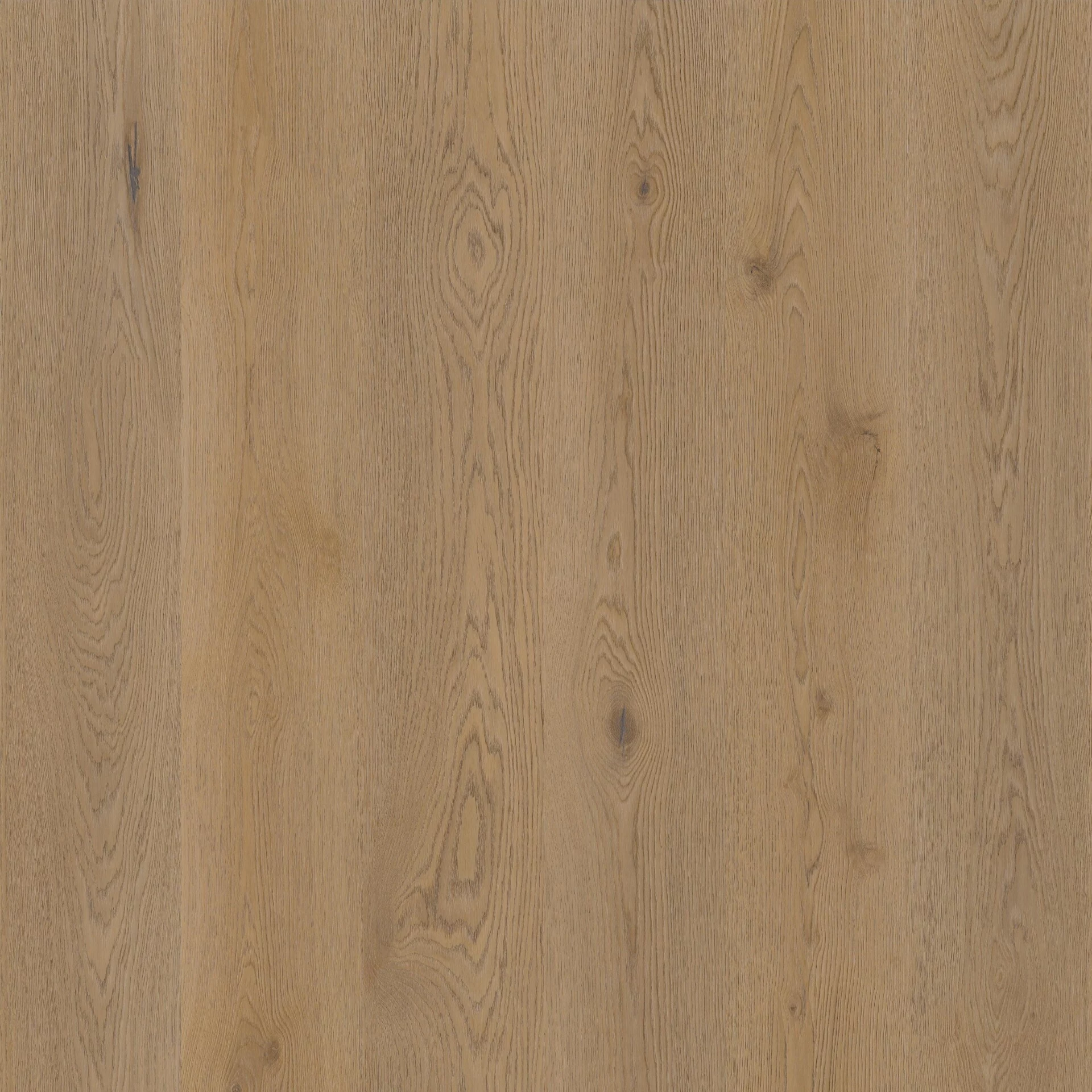 Therdex Authentic 15063 Plank XL Dryback