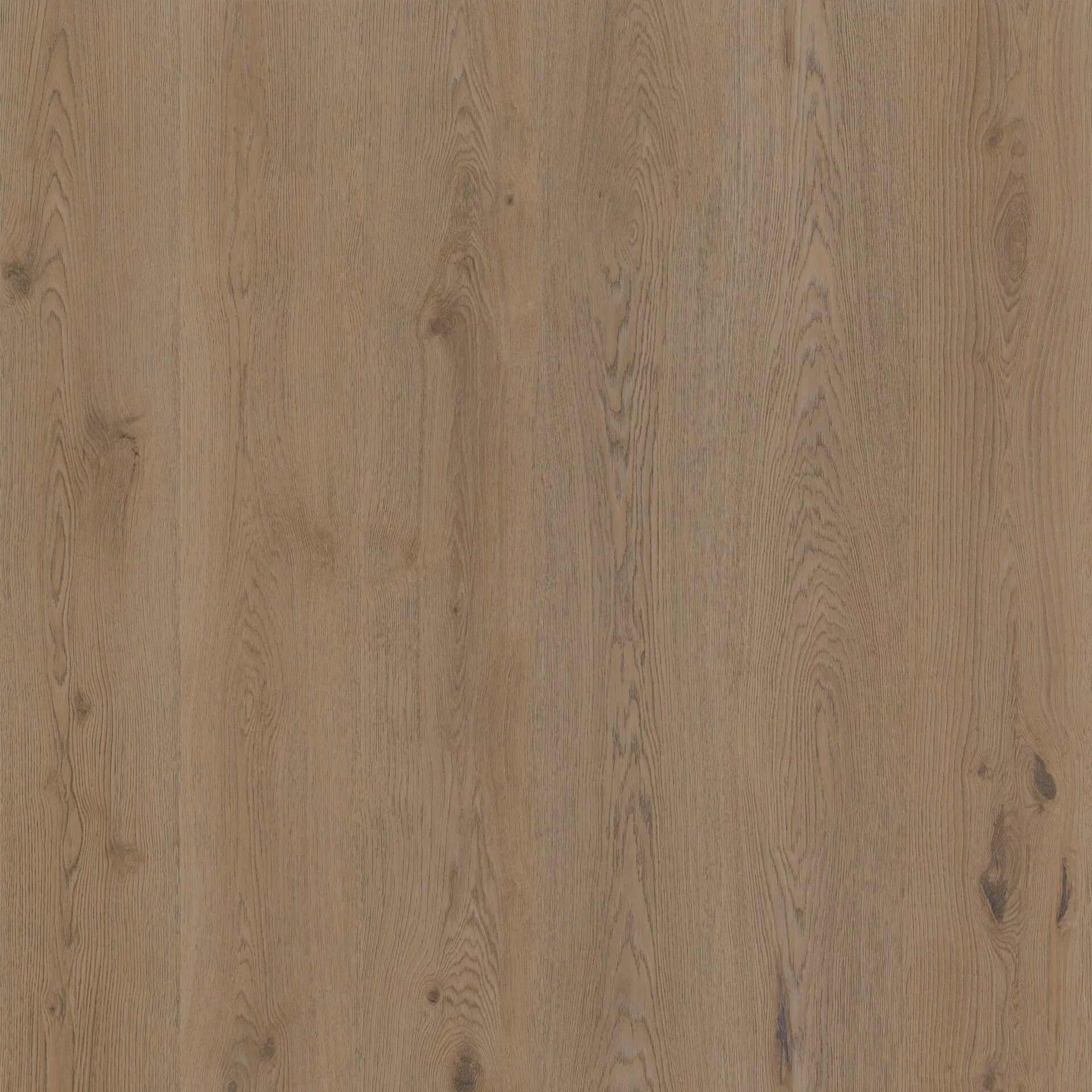 Therdex Authentic 15064 Plank XL Dryback