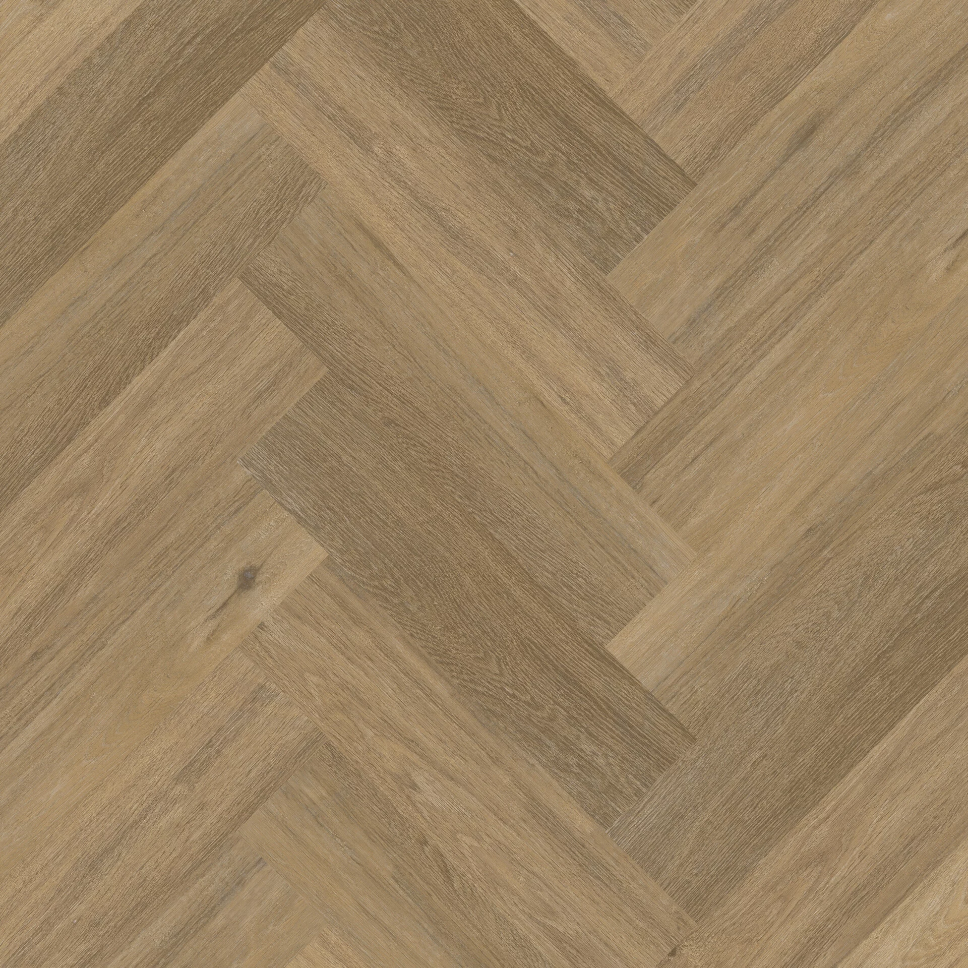 Therdex Chevron 6044 Visgraat Dryback