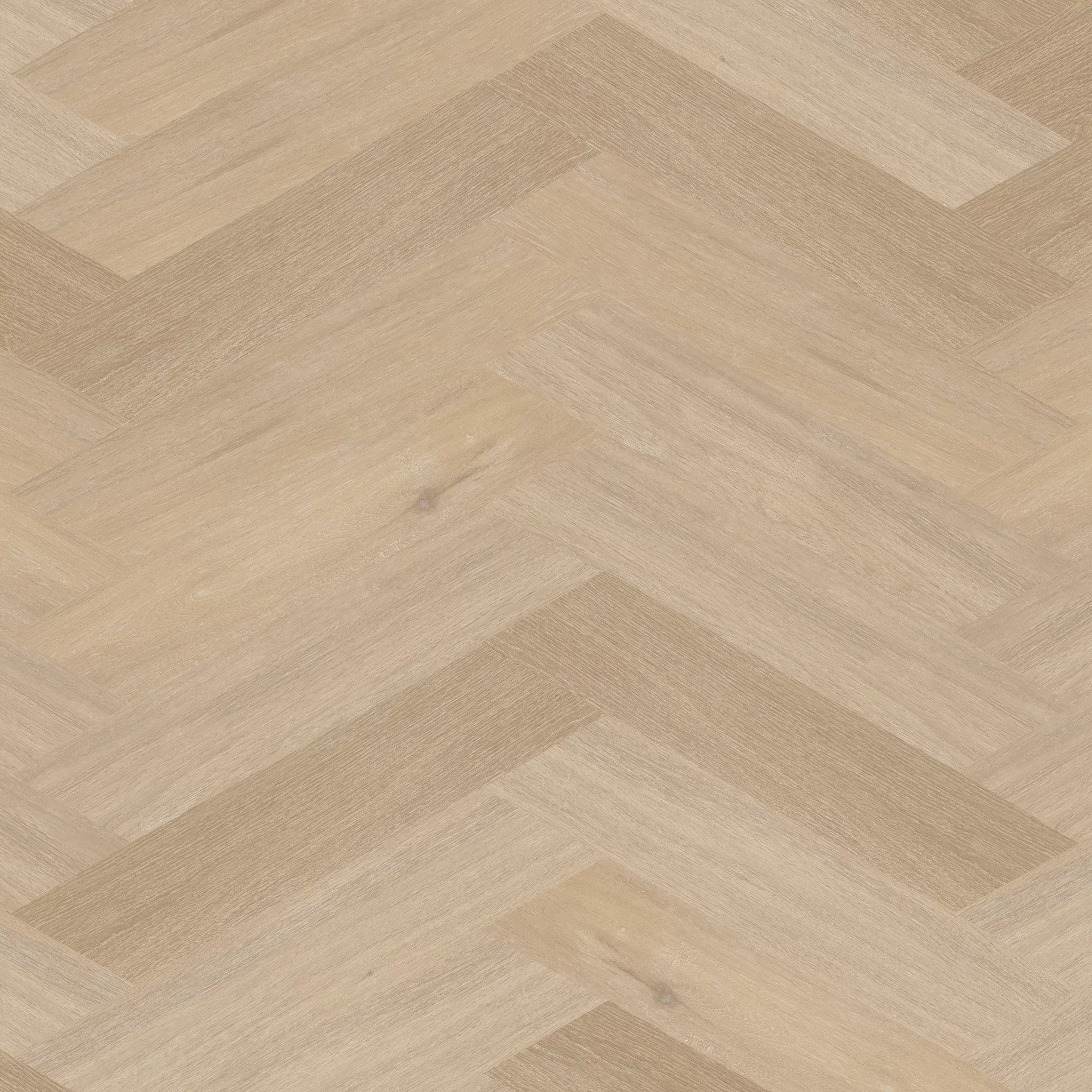 Therdex Chevron 6542 Weense punt Dryback
